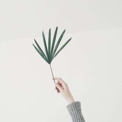 满堂彩手机app下载